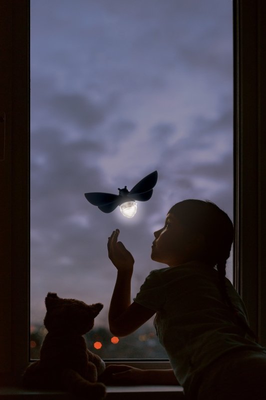 Lightbug Solarbetriebenes Nachtlicht 💡