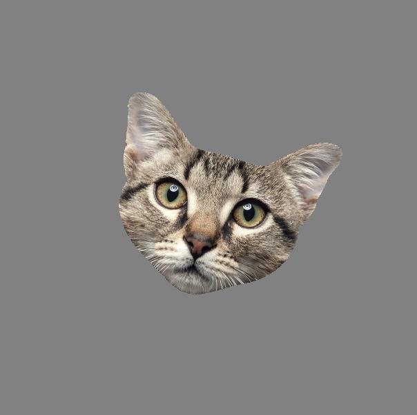 Microfasertuch | Microfaber Cloths Katze