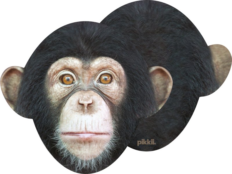 Microfasertuch | Microfaber Cloths Monkey