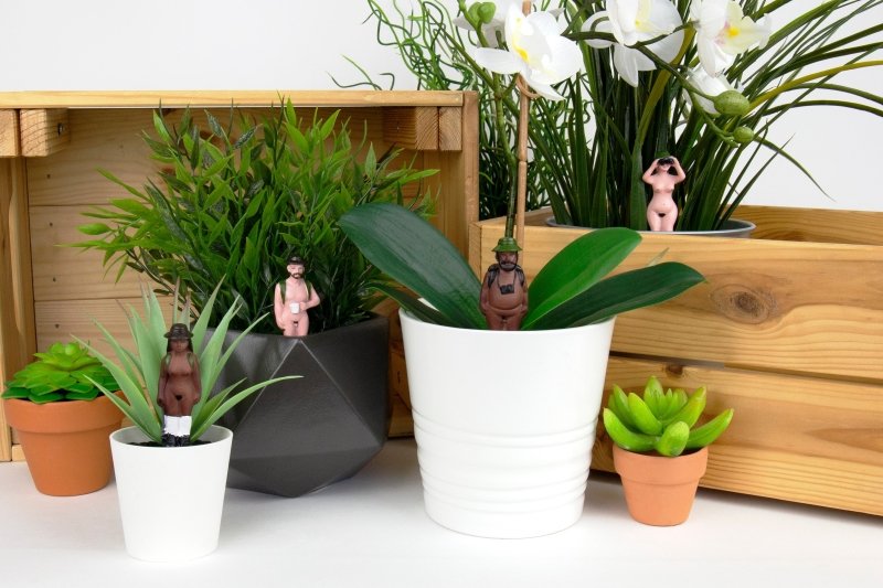 Nackte Wanderer Mini Gartenzwerge | Mini Naked Ramblers Planters