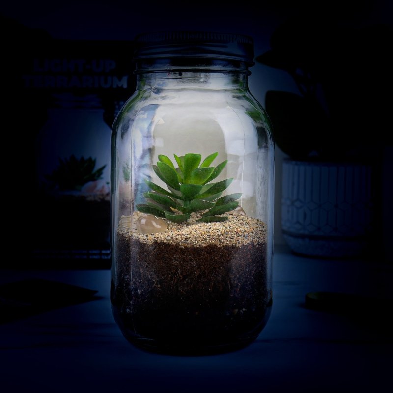 🪴 Solarbetriebenes Terrarium