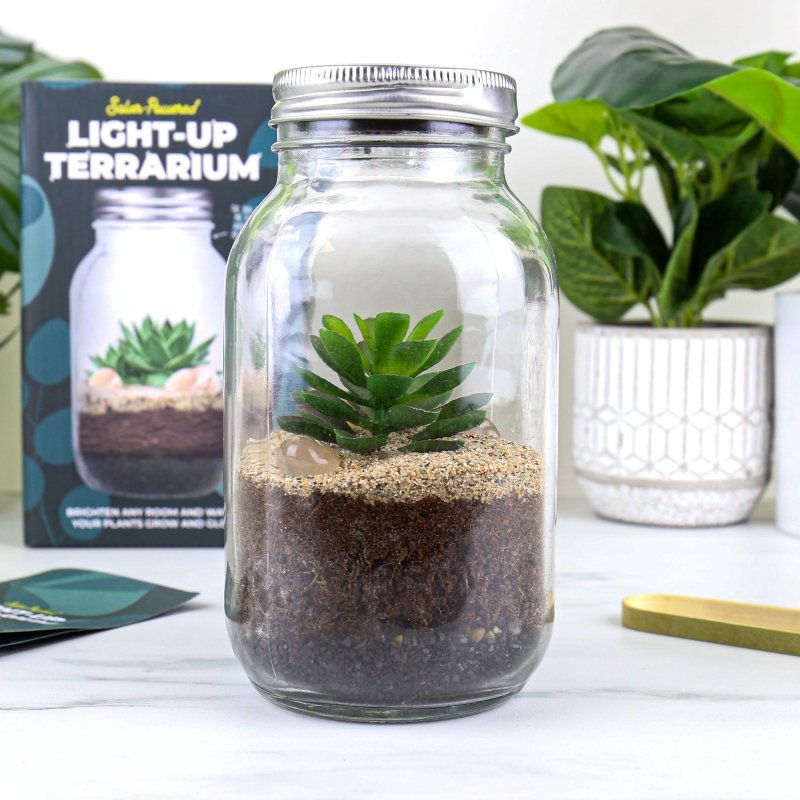 🪴 Solarbetriebenes Terrarium