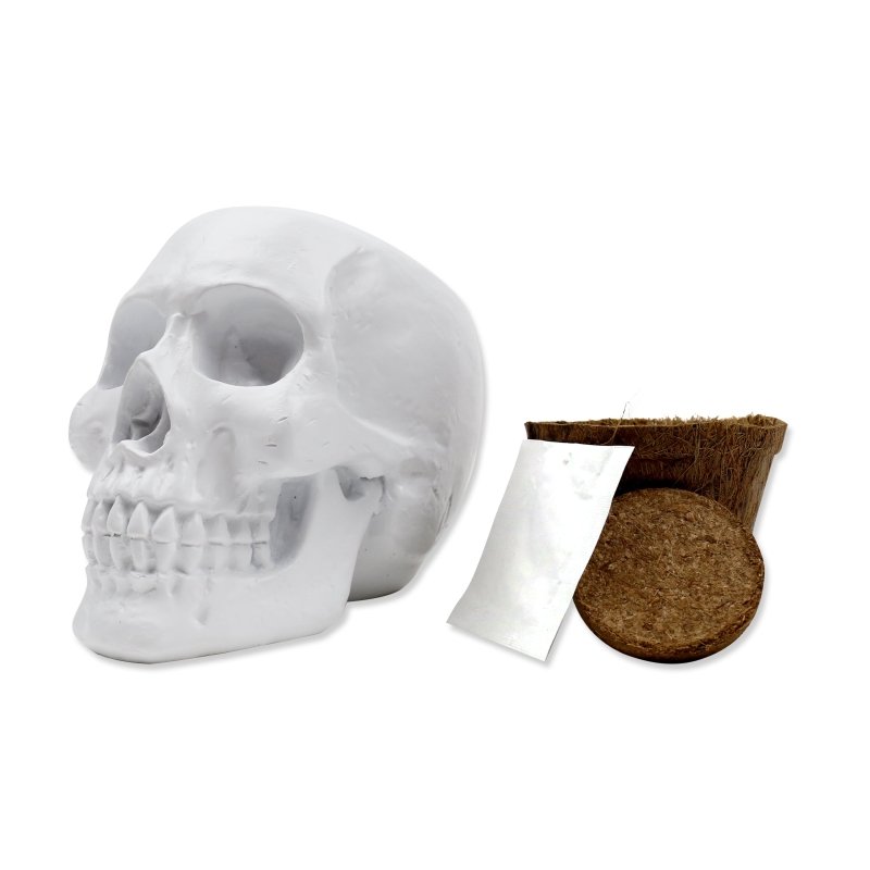 Totenkopf Pflanzset
