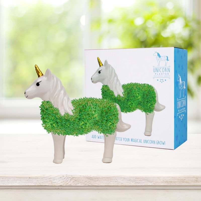 Chia Einhorn🦄
