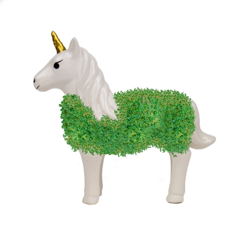 Chia Einhorn🦄