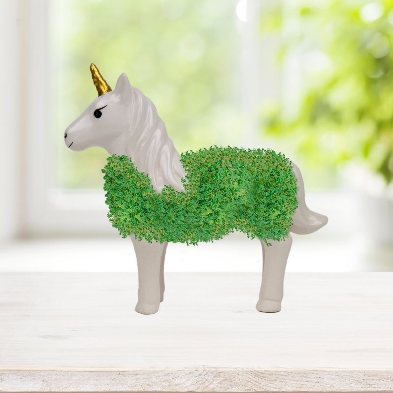 Chia Einhorn🦄