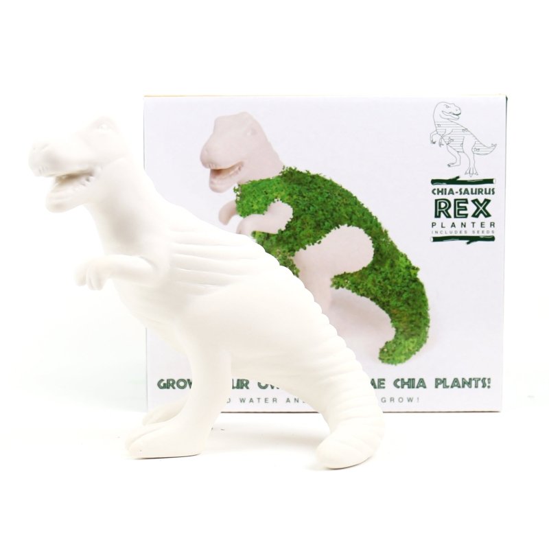 Chia-Saurus 🦖