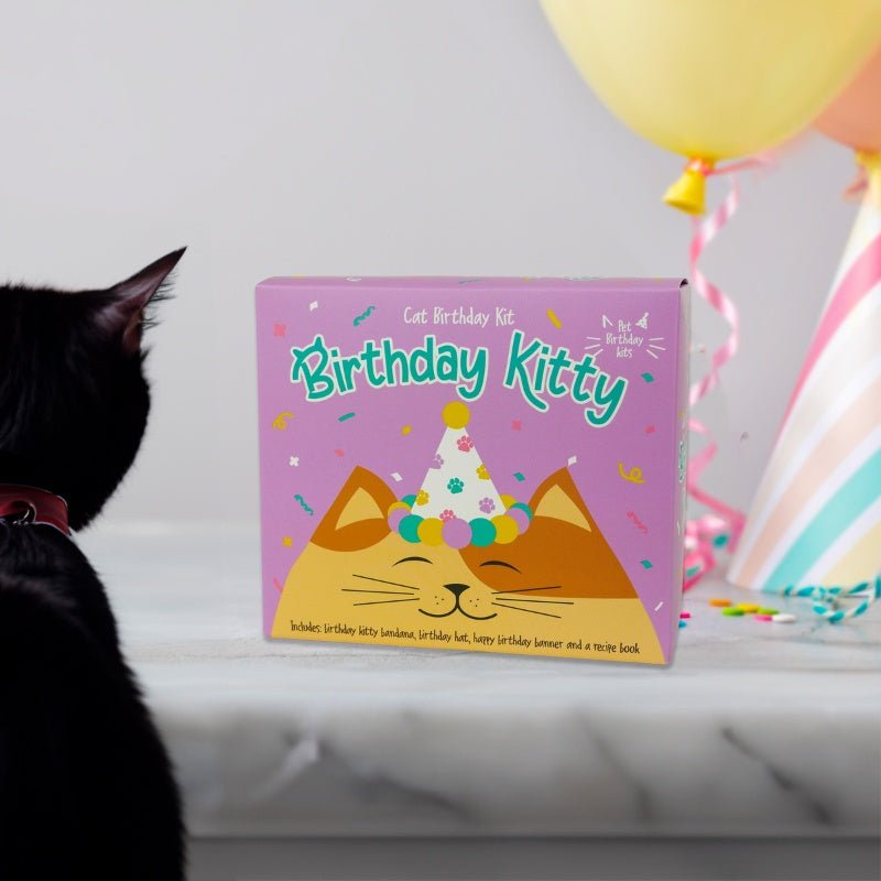 Geburtstagsset für Katzen