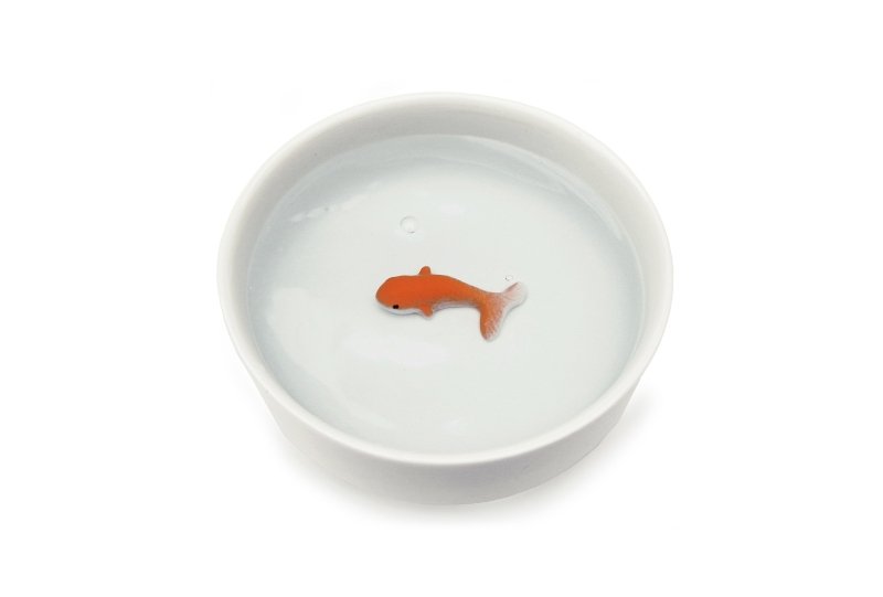Goldfisch Wasserschale | Fish Pet Bowl 🐟