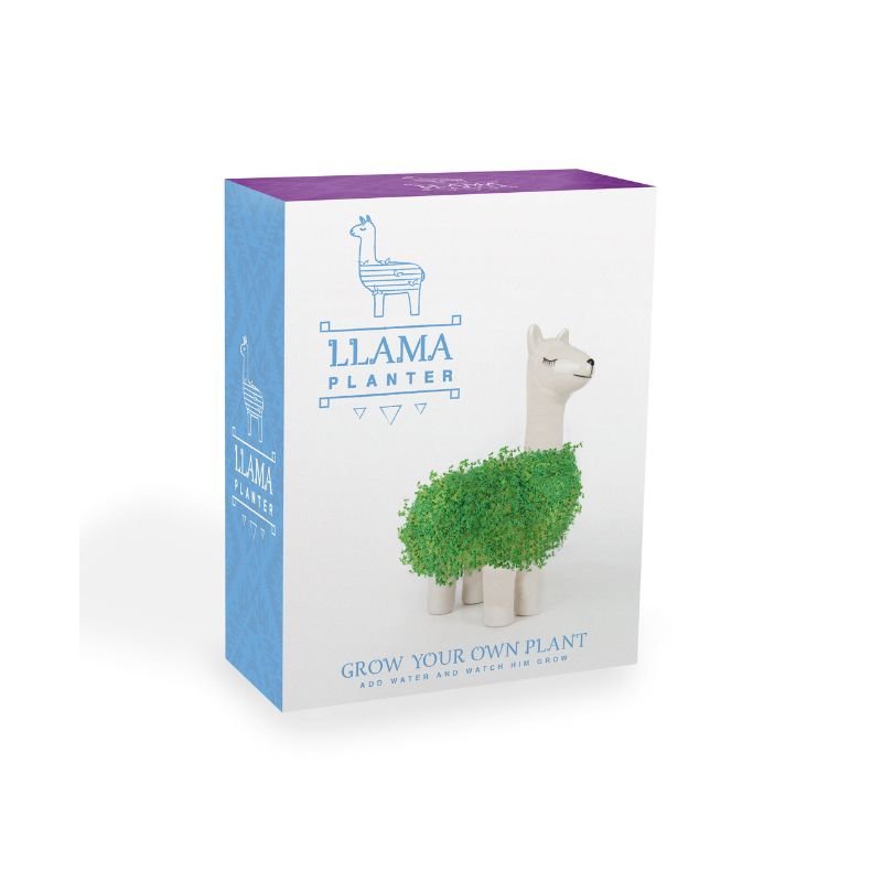 Green Lama Pflanztier | Das Keramik Lama zum Chia Samen Züchten