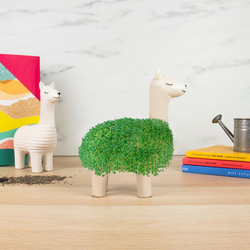 Green Lama Pflanztier | Das Keramik Lama zum Chia Samen Züchten
