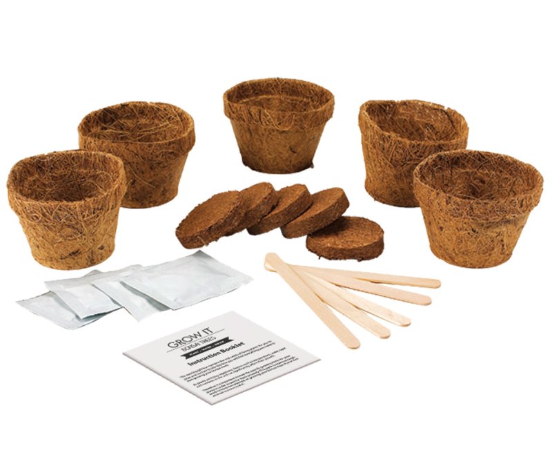 Grow it Bonsai Bäume | Aufzuchtset