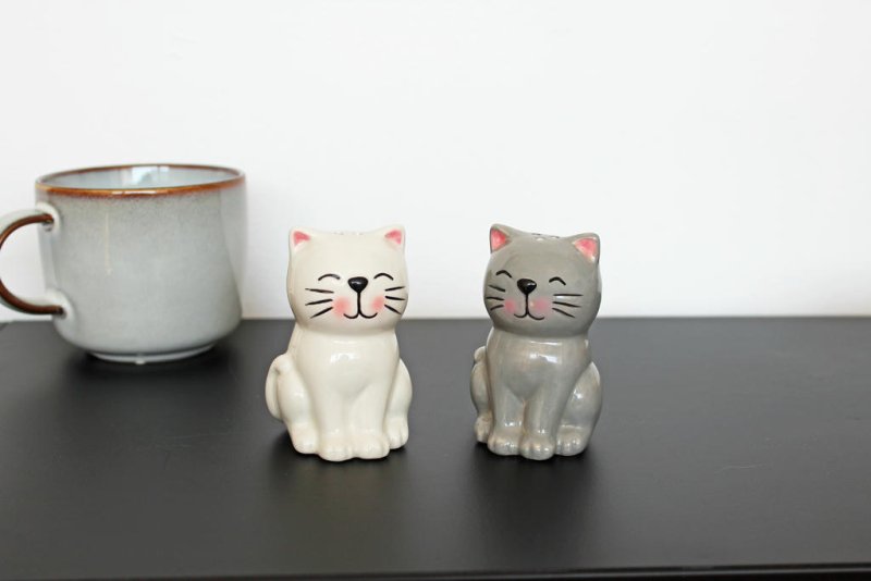 Katzen Salz- und Pfefferstreuer