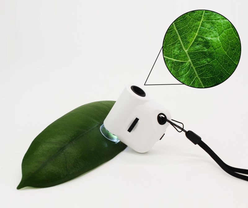 Mini Mikroskop mit Licht | Mini Microcospe