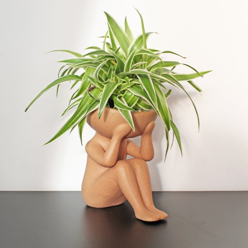 Nur Pflanzen im Kopf | Plants in my head Plant Pot 🪴