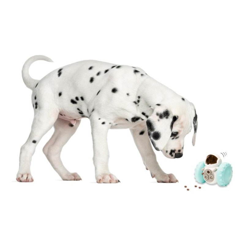 Pet Care Leckerli Roboter Spielzeug