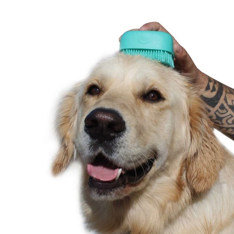 Pet Care Shamponier- und Massagebürste