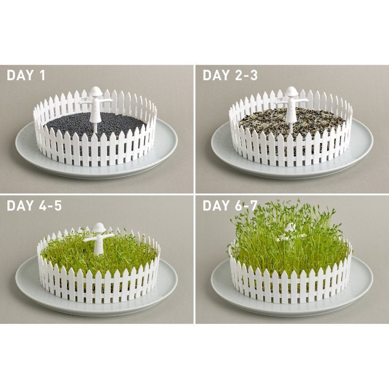 Seed Field Keimhilfe