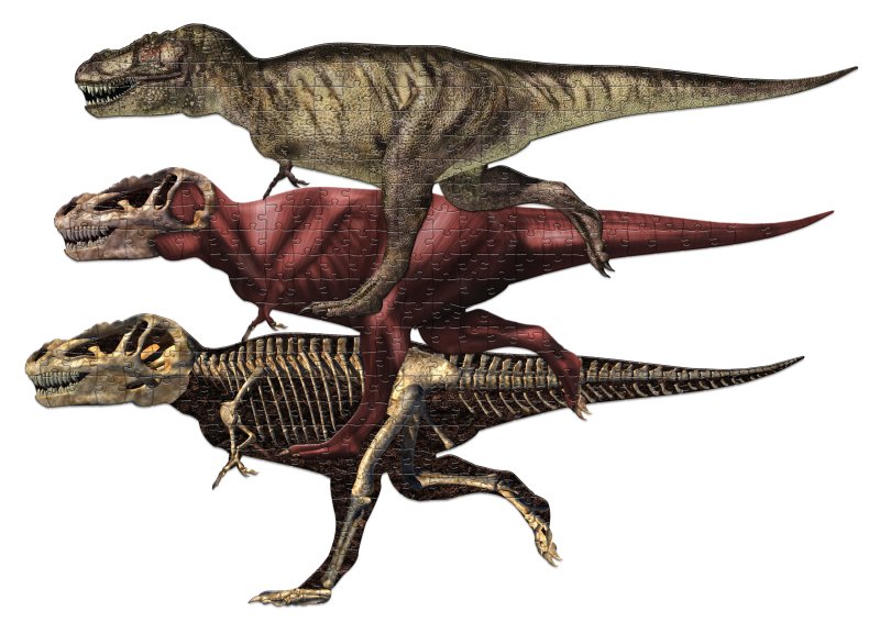 T-Rex Puzzle