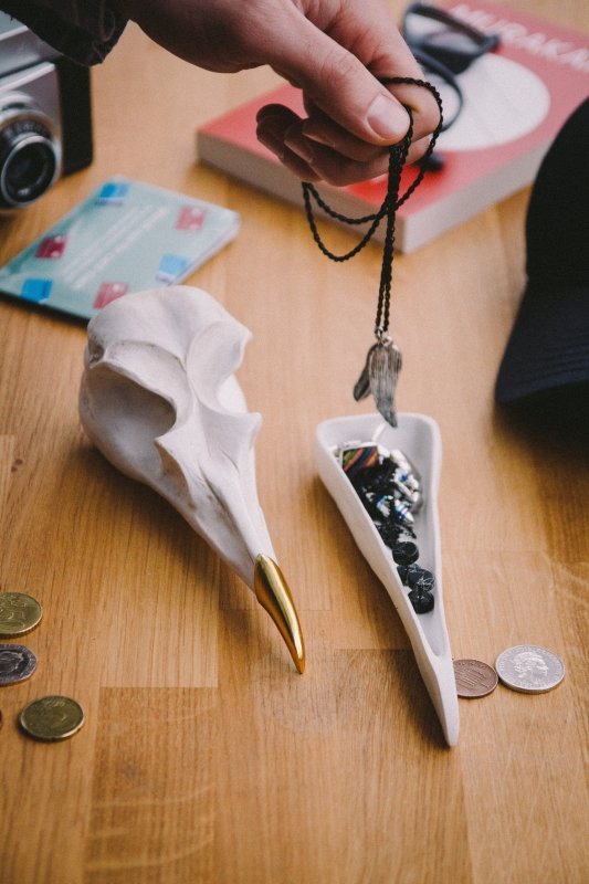 Vogelschädel Dose | Bird Skull Tidy 🦅